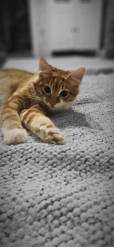 Dexter